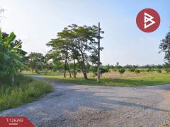 ขายด่วนที่ดิน เนื้อที่ 2 ไร่ 39 ตารางวา หมู่บ้านคันทรีการ์เด้น คลองสาม ปทุมธานี-202511121716081762942568381.jpg