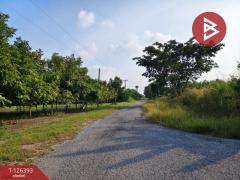 ขายด่วนที่ดิน เนื้อที่ 2 ไร่ 39 ตารางวา หมู่บ้านคันทรีการ์เด้น คลองสาม ปทุมธานี-202511121716081762942568919.jpg