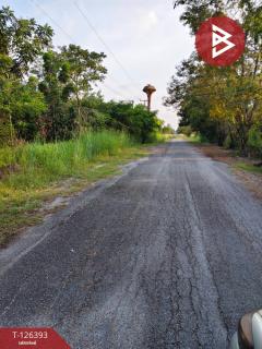 ขายด่วนที่ดิน เนื้อที่ 2 ไร่ 39 ตารางวา หมู่บ้านคันทรีการ์เด้น คลองสาม ปทุมธานี-202511121716091762942569456.jpg