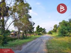 ขายด่วนที่ดิน เนื้อที่ 2 ไร่ 39 ตารางวา หมู่บ้านคันทรีการ์เด้น คลองสาม ปทุมธานี-202511121716091762942569993.jpg