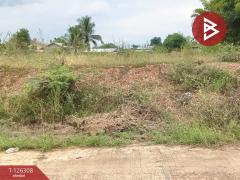 ขายที่ดินเปล่า เนื้อที่ 7 ไร่ 1 งาน 53 ตร.วา ไพศาลี นครสวรรค์