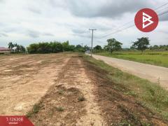 ขายที่ดินเปล่า เนื้อที่ 7 ไร่ 1 งาน 53 ตร.วา ไพศาลี นครสวรรค์-202511121719581762942798128.jpg