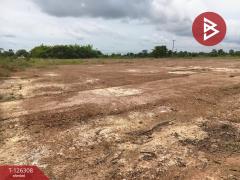 ขายที่ดินเปล่า เนื้อที่ 7 ไร่ 1 งาน 53 ตร.วา ไพศาลี นครสวรรค์-202511121719581762942798661.jpg