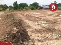 ขายที่ดินเปล่า เนื้อที่ 7 ไร่ 1 งาน 53 ตร.วา ไพศาลี นครสวรรค์-202511121719591762942799198.jpg