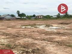 ขายที่ดินเปล่า เนื้อที่ 7 ไร่ 1 งาน 53 ตร.วา ไพศาลี นครสวรรค์-202511121720011762942801383.jpg