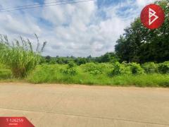 ขายทีดิน เนื้อที่ 5 ไร่ 1 งาน 69 ตร.วา โป่งน้ำร้อน จันทบุรี-202511121738571762943937880.jpg