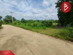 ขายทีดิน เนื้อที่ 5 ไร่ 1 งาน 69 ตร.วา โป่งน้ำร้อน จันทบุรี-202511121738591762943939922.jpg