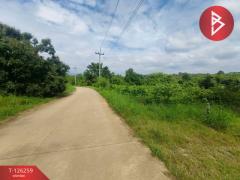 ขายทีดิน เนื้อที่ 5 ไร่ 1 งาน 69 ตร.วา โป่งน้ำร้อน จันทบุรี-202511121739001762943940420.jpg