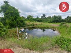 ขายทีดิน เนื้อที่ 5 ไร่ 1 งาน 69 ตร.วา โป่งน้ำร้อน จันทบุรี-202511121739011762943941106.jpg