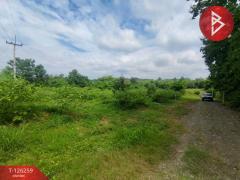 ขายทีดิน เนื้อที่ 5 ไร่ 1 งาน 69 ตร.วา โป่งน้ำร้อน จันทบุรี-202511121739011762943941609.jpg