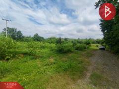 ขายทีดิน เนื้อที่ 5 ไร่ 1 งาน 69 ตร.วา โป่งน้ำร้อน จันทบุรี-202511121739021762943942104.jpg