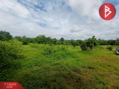 ขายทีดิน เนื้อที่ 5 ไร่ 1 งาน 69 ตร.วา โป่งน้ำร้อน จันทบุรี-202511121739021762943942602.jpg