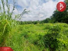 ขายทีดิน เนื้อที่ 5 ไร่ 1 งาน 69 ตร.วา โป่งน้ำร้อน จันทบุรี-202511121739031762943943121.jpg