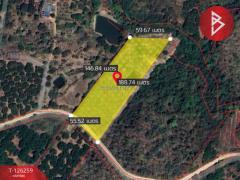 ขายทีดิน เนื้อที่ 5 ไร่ 1 งาน 69 ตร.วา โป่งน้ำร้อน จันทบุรี-202511121739031762943943618.jpg