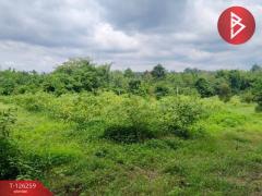 ขายทีดิน เนื้อที่ 5 ไร่ 1 งาน 69 ตร.วา โป่งน้ำร้อน จันทบุรี-202511121739041762943944115.jpg