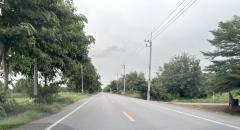 ขายที่ดิน 1 ไร่ คลอง 10 หนองเสือ ปทุมธานี 098 7755 808