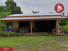 ขายที่ดินพร้อมสิ่งปลูกสร้าง เนื้อที่ 2 ไร่ 3 งาน 50 ตร.วา หนองฉาง อุทัยธานี-202511130905221762999522454.jpg