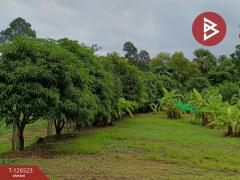 ขายที่ดินพร้อมสิ่งปลูกสร้าง เนื้อที่ 2 ไร่ 3 งาน 50 ตร.วา หนองฉาง อุทัยธานี-202511130905241762999524394.jpg