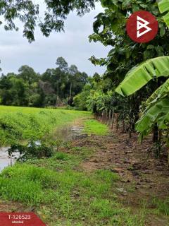 ขายที่ดินพร้อมสิ่งปลูกสร้าง เนื้อที่ 2 ไร่ 3 งาน 50 ตร.วา หนองฉาง อุทัยธานี-202511130905251762999525999.jpg