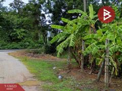 ขายที่ดินพร้อมสิ่งปลูกสร้าง เนื้อที่ 2 ไร่ 3 งาน 50 ตร.วา หนองฉาง อุทัยธานี-202511130905271762999527067.jpg