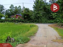 ขายที่ดินพร้อมสิ่งปลูกสร้าง เนื้อที่ 2 ไร่ 3 งาน 50 ตร.วา หนองฉาง อุทัยธานี-202511130905271762999527608.jpg