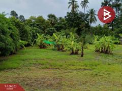 ขายที่ดินพร้อมสิ่งปลูกสร้าง เนื้อที่ 2 ไร่ 3 งาน 50 ตร.วา หนองฉาง อุทัยธานี-202511130905291762999529239.jpg