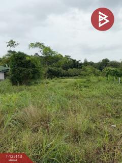 ขายที่ดิน 1 ไร่ 23 ตารางวา ต.หนองตะพาน อ.บ้านค่าย จ.ระยอง-202511130908241762999704692.jpg