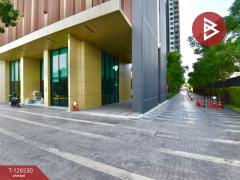 ขายคอนโด เคนซิงตัน สุขุมวิท-เทพารักษ์ (Kensington Sukhumvit-Thepharak) สมุทรปราการ-202511131008201763003300522.jpg