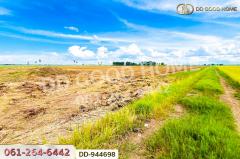 DD-944698 ที่ดินเกยไชย 5 ไร่ 20 ตร.ว. ชุมแสง นครสวรรค์ ใกล้ที่ว่าการอำเภอชุมแสง-202511131058541763006334883.jpg