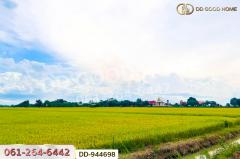 DD-944698 ที่ดินเกยไชย 5 ไร่ 20 ตร.ว. ชุมแสง นครสวรรค์ ใกล้ที่ว่าการอำเภอชุมแสง-202511131058551763006335462.jpg