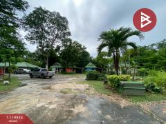  ขายที่ดินพร้อมรีสอร์ท เนื้อที่ 3 ไร่ 3 งาน 6 ตร.วา บ้านไผ่ ขอนแก่น-202511131126271763007987587.jpg