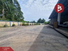 ขายที่ดินพร้อมกิจการ เนื้อที่ 4 ไร่ นาเคียน นครศรีธรรมราช ทำเลดี-202511131129461763008186104.jpg