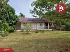 ขายที่ดินพร้อมกิจการ เนื้อที่ 4 ไร่ นาเคียน นครศรีธรรมราช ทำเลดี-202511131129521763008192069.jpg