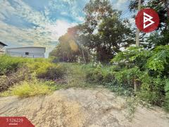 ขายที่ดิน เนื้อที่ 1 งาน 57.6 ตร.วา ราษฎร์นิยม ไทรน้อย นนทบุรี-202511131144081763009048551.jpg