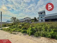 ขายที่ดิน เนื้อที่ 1 งาน 57.6 ตร.วา ราษฎร์นิยม ไทรน้อย นนทบุรี-202511131144091763009049631.jpg