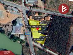  ขายบ้านเดี่ยว บ้านพัก 2 หลัง พร้อมกิจการร้านขายของชำ เนื้อที่ 318 ตารางวา บ้านแฮด ขอนแก่น-202511131147181763009238121.jpg