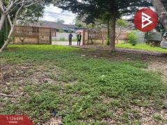 ขายบ้านเดี่ยวพร้อมที่ดิน เนื้อที่ 1 งาน 85 ตร.วา น้ำริด อุตรดิตถ์-202511131238281763012308883.jpg