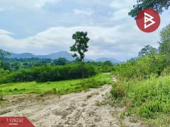 ขายที่ดินพร้อมสิ่งปลูกสร้าง เนื้อที่ 25 ไร่ 2 งาน 19.9 ตร.วา ปากช่อง นครราชสีมา-202511131241561763012516080.jpg