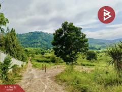 ขายที่ดินพร้อมสิ่งปลูกสร้าง เนื้อที่ 25 ไร่ 2 งาน 19.9 ตร.วา ปากช่อง นครราชสีมา-202511131241561763012516649.jpg