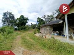 ขายที่ดินพร้อมสิ่งปลูกสร้าง เนื้อที่ 25 ไร่ 2 งาน 19.9 ตร.วา ปากช่อง นครราชสีมา-202511131241571763012517214.jpg