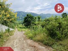 ขายที่ดินพร้อมสิ่งปลูกสร้าง เนื้อที่ 25 ไร่ 2 งาน 19.9 ตร.วา ปากช่อง นครราชสีมา-202511131241591763012519216.jpg