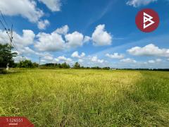  ขายที่ดิน เนื้อที่ 40 ไร่ 73 ตร.วา เนินขาม ชัยนาท-202511131254081763013248366.jpg