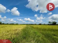  ขายที่ดิน เนื้อที่ 40 ไร่ 73 ตร.วา เนินขาม ชัยนาท-202511131254091763013249091.jpg