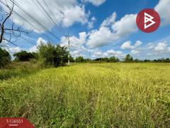  ขายที่ดิน เนื้อที่ 40 ไร่ 73 ตร.วา เนินขาม ชัยนาท-202511131254091763013249650.jpg