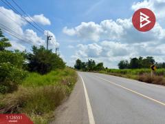  ขายที่ดิน เนื้อที่ 40 ไร่ 73 ตร.วา เนินขาม ชัยนาท-202511131254101763013250215.jpg