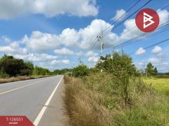  ขายที่ดิน เนื้อที่ 40 ไร่ 73 ตร.วา เนินขาม ชัยนาท-202511131254101763013250769.jpg