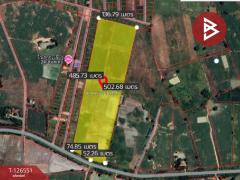  ขายที่ดิน เนื้อที่ 40 ไร่ 73 ตร.วา เนินขาม ชัยนาท-202511131254111763013251418.jpg