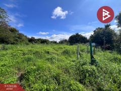 ขายที่ดินเปล่า-เนื้อที่-98-ตร.วา-หางดง