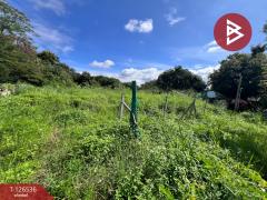 ขายที่ดินเปล่า เนื้อที่ 98 ตร.วา หางดง เชียงใหม่-202511131355231763016923241.jpg