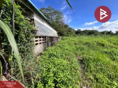 ขายที่ดินเปล่า เนื้อที่ 98 ตร.วา หางดง เชียงใหม่-202511131355231763016923792.jpg